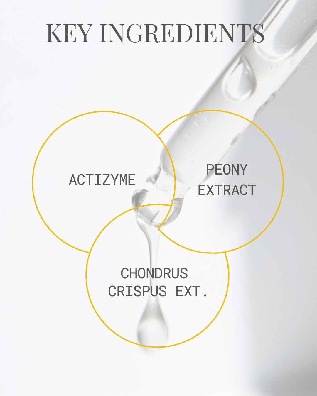 Ivorine Enzymatic Serum