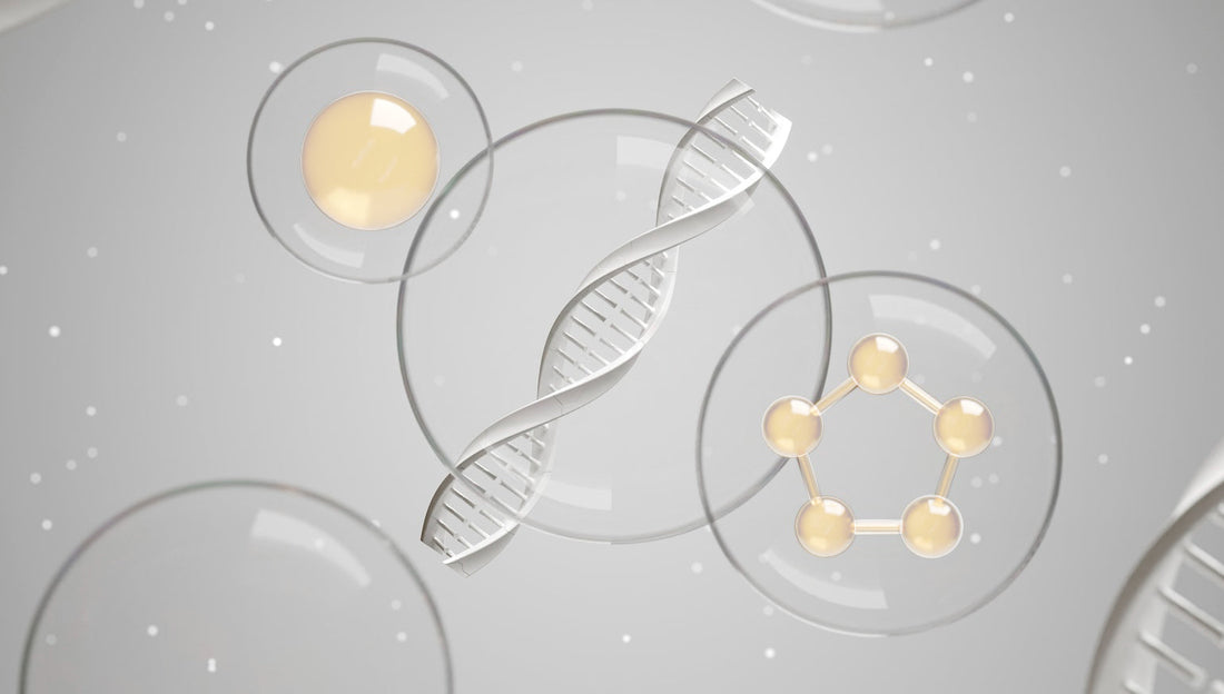 Peptides, Stem Cells & Anagen Phase Extension: The New Science of Regrowth