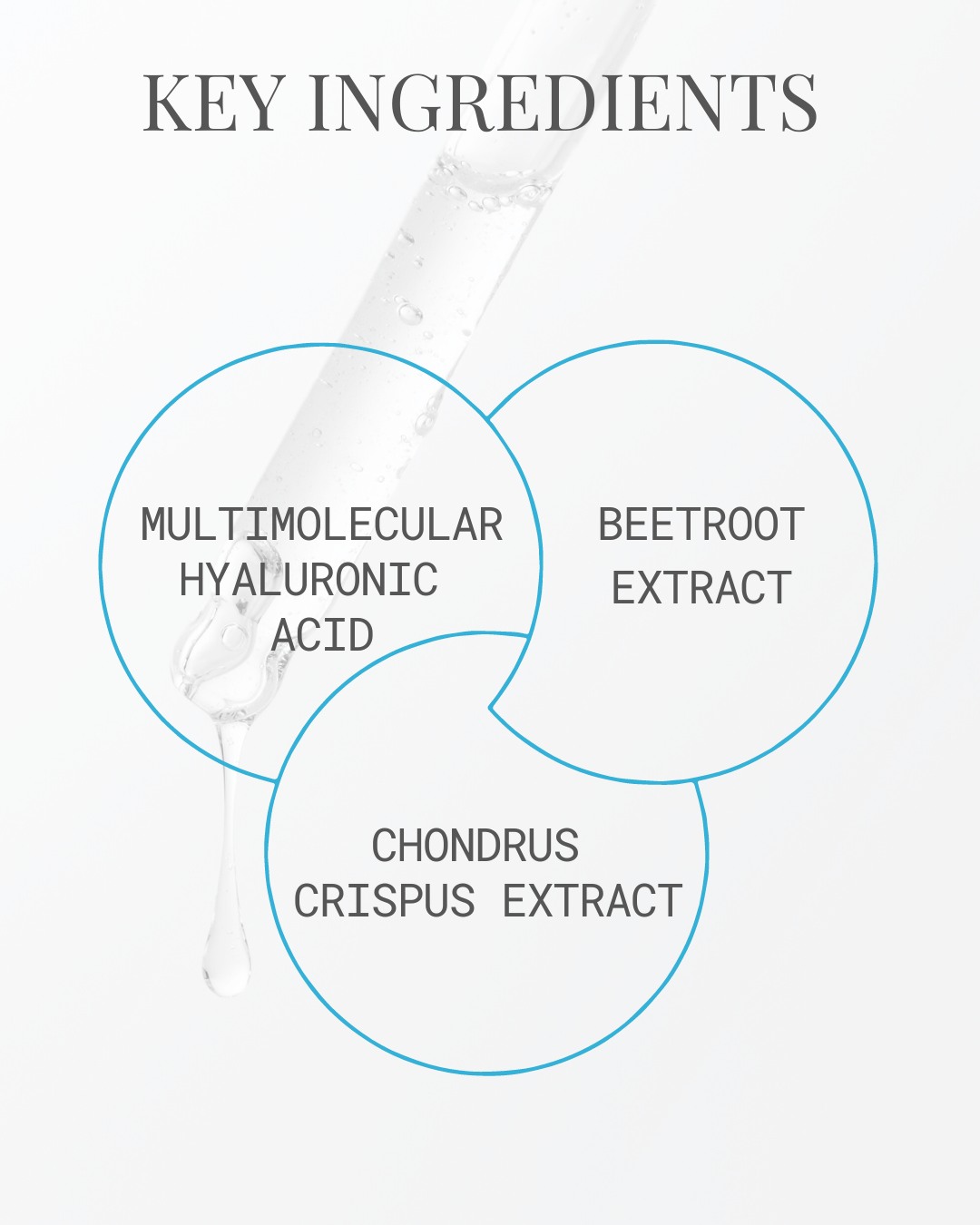 Hebeda Serum